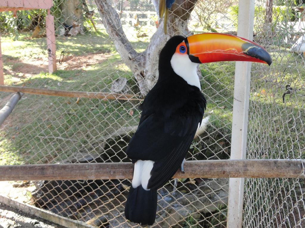 Hotel Fazenda Floresta Do Lago Сокорру Экстерьер фото